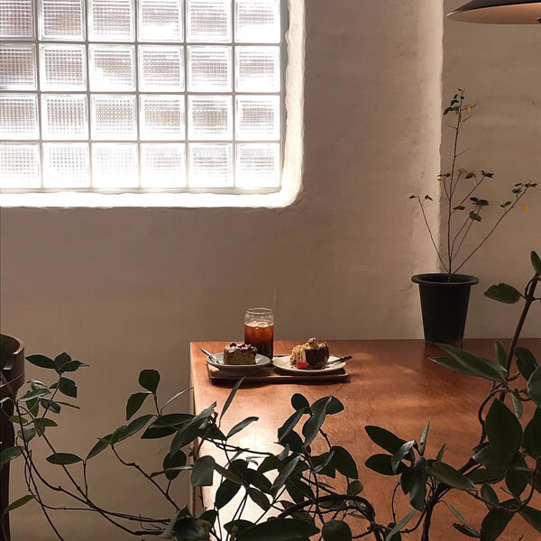 서울비건 이미지