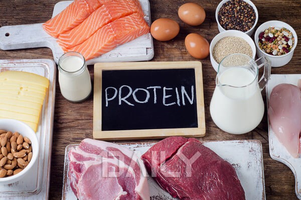 데일리 - 다이어트와 운동 필수 영양분 '단백질' 잘 먹는 법 푸드 단백질먹는방법,단백질,단백질섭취방법,단백질섭취,단백질과잉섭취 ...