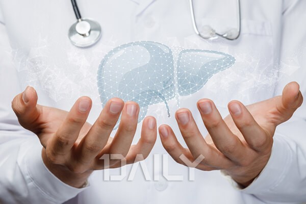 데일리 - 요즘 부쩍 피곤하다면 이 병 의심 건강 간,간기능,간건강,간망치는습관,장기,간동맥,치료방법,간이식,간이식수술,건강즙복용